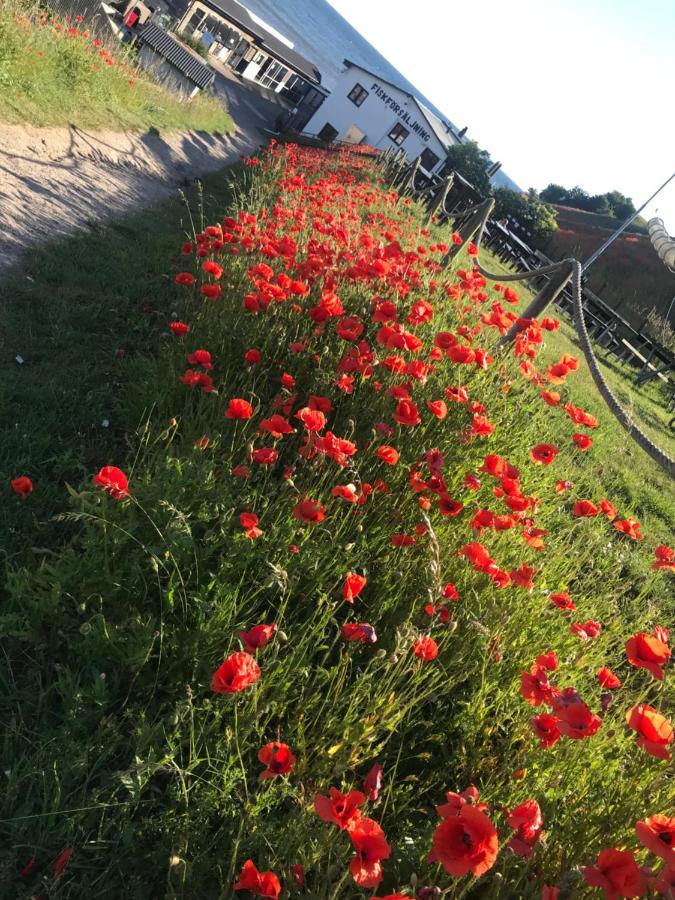 Botanikerns hus Villa Loderup Bagian luar foto