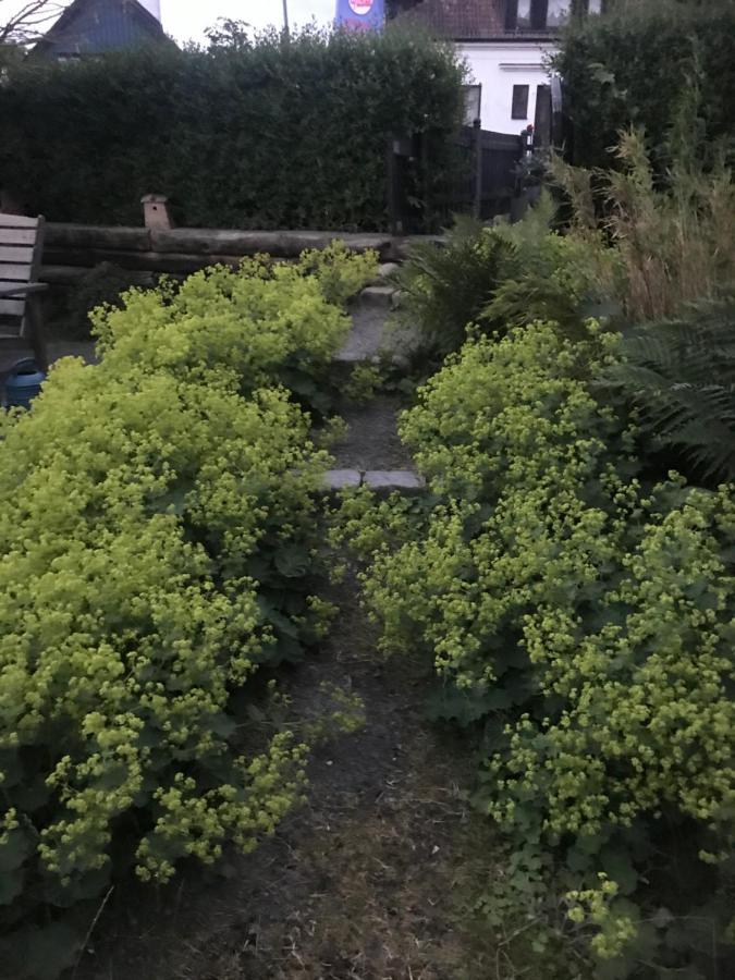 Botanikerns hus Villa Loderup Bagian luar foto